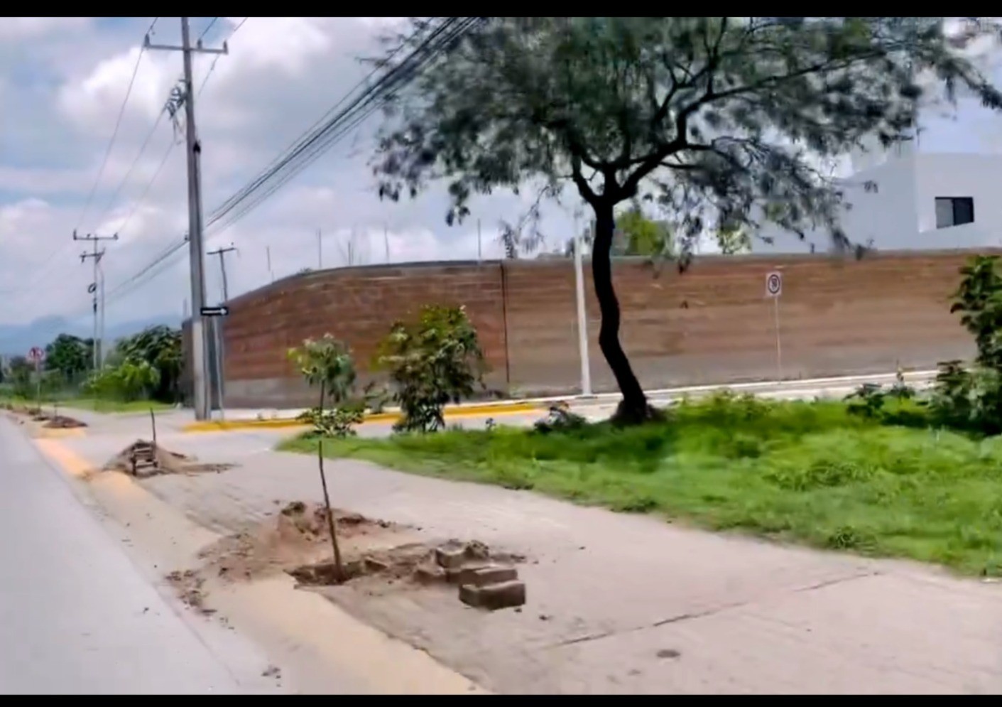 Rompen banquetas para plantar árboles en vialidades de León