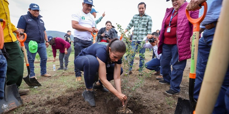 Arranca forestación masiva en Sierra de Lobos con más de 2 mil árboles