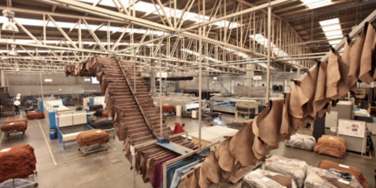 Pierden curtidores 50% de su mercado por competencia desleal china