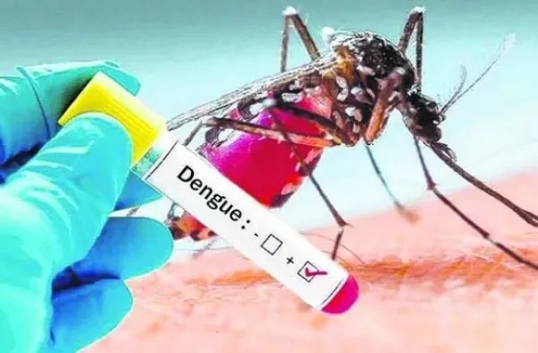 Suman más de 340 casos de dengue en Guanajuato