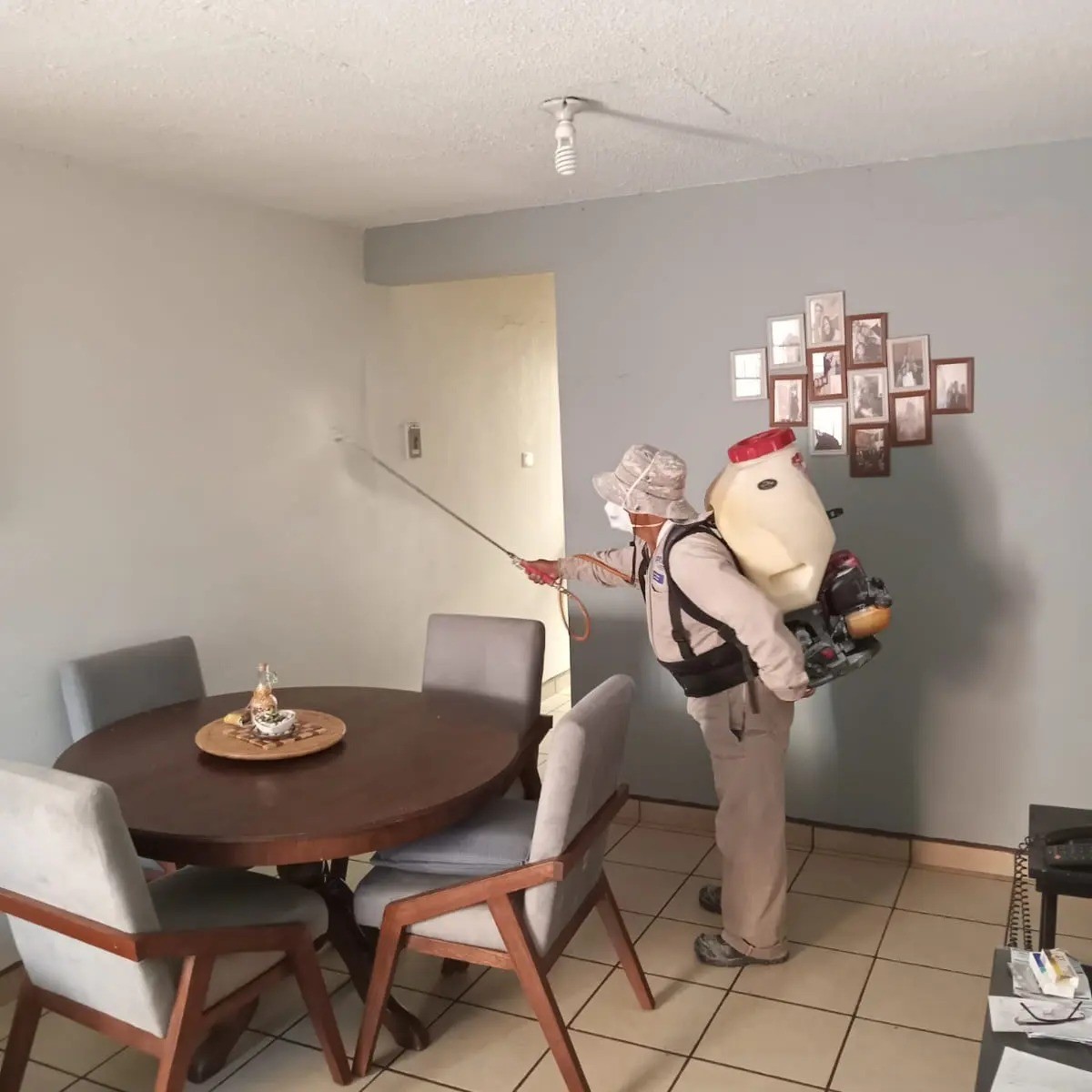 Requieren más brigadistas para combatir el dengue en León