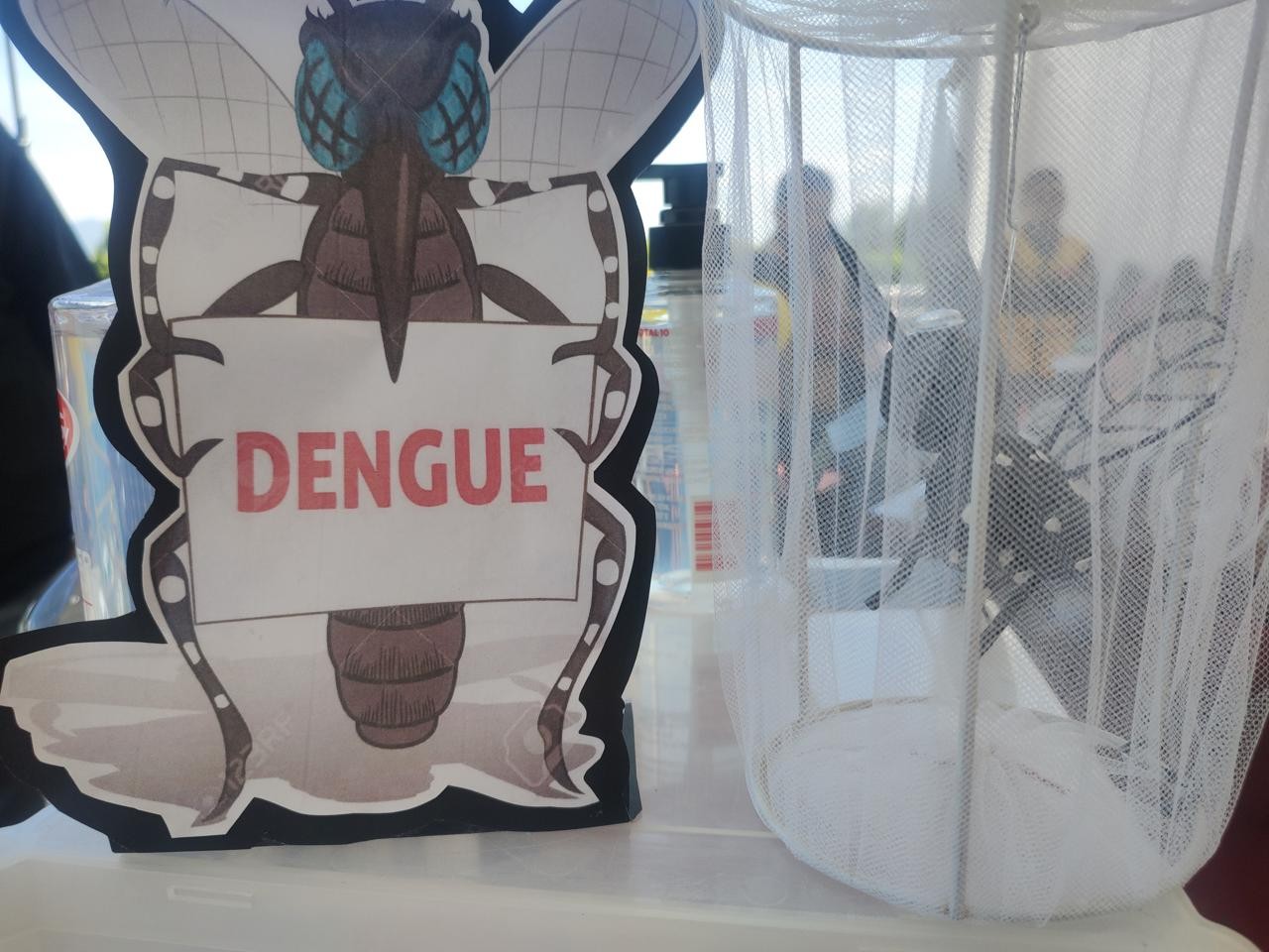 Reportan 434 casos de dengue en Guanajuato; 17 son graves