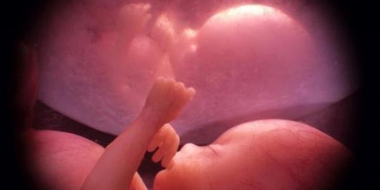 Guanajuato, el tercer estado con más defunciones fetales: INEGI