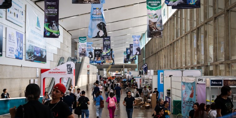 Congreso veterinario abarrota hoteles de León