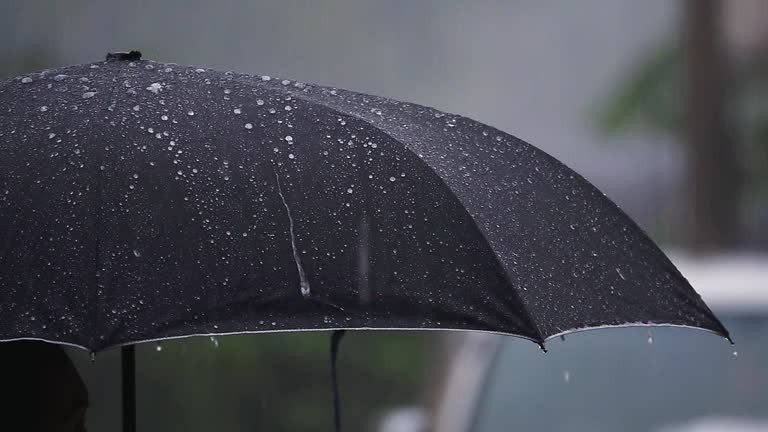 Continuarán las lluvias lo que resta de la semana en León