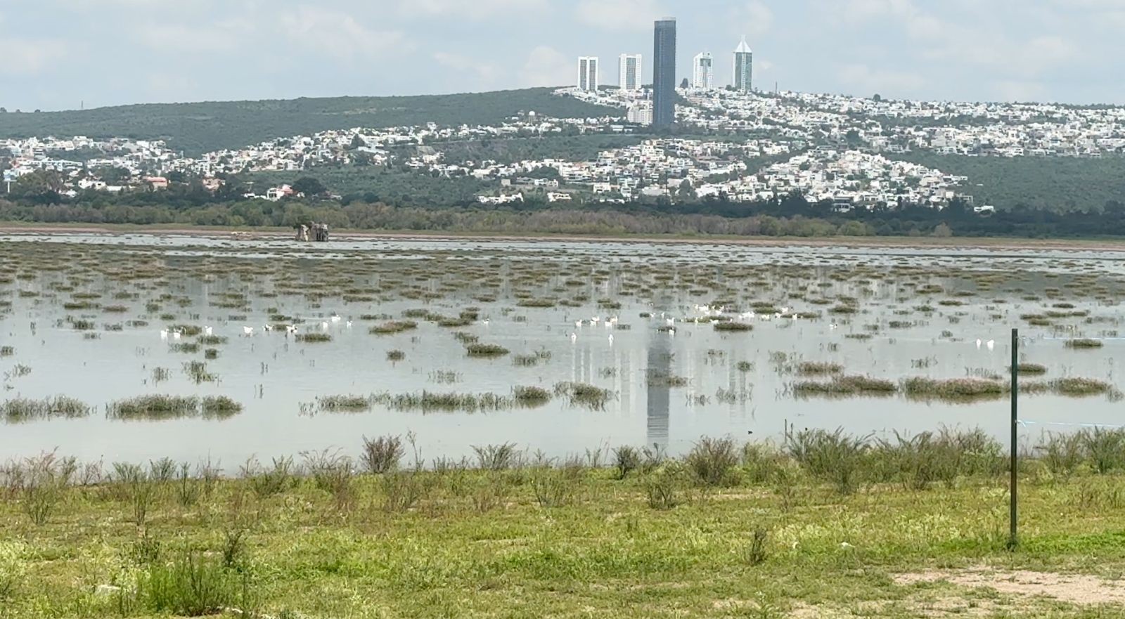 Presa El Palote al 27% de su capacidad: experto explica las causas