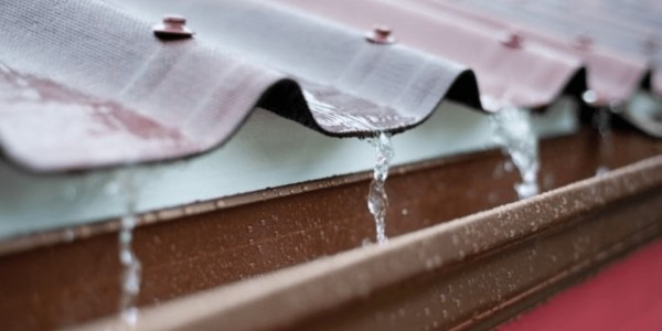 Urge especialista crear políticas públicas para la recolección de agua pluvial 