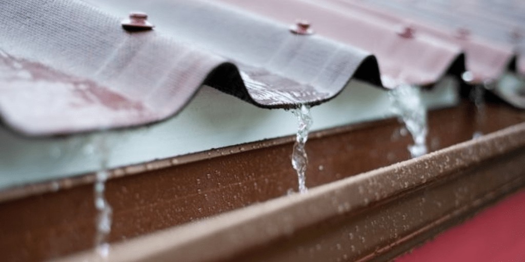 Urge especialista crear políticas públicas para la recolección de agua pluvial 