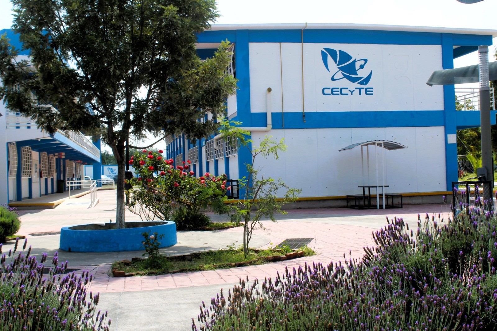 Detecta CECyTE Guanajuato conductas de riesgo suicida en estudiantes