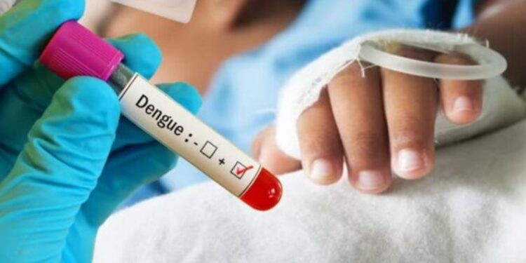 Confirman segunda muerte por dengue en Guanajuato