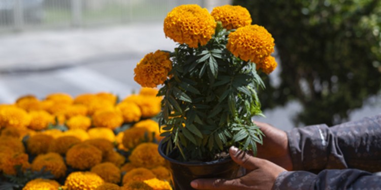 SIAP mantendrá programa ‘Recicla y Gana’ hasta noviembre