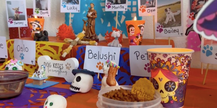Honran a mascotas difuntas con altar en el marco del Día de Muertos