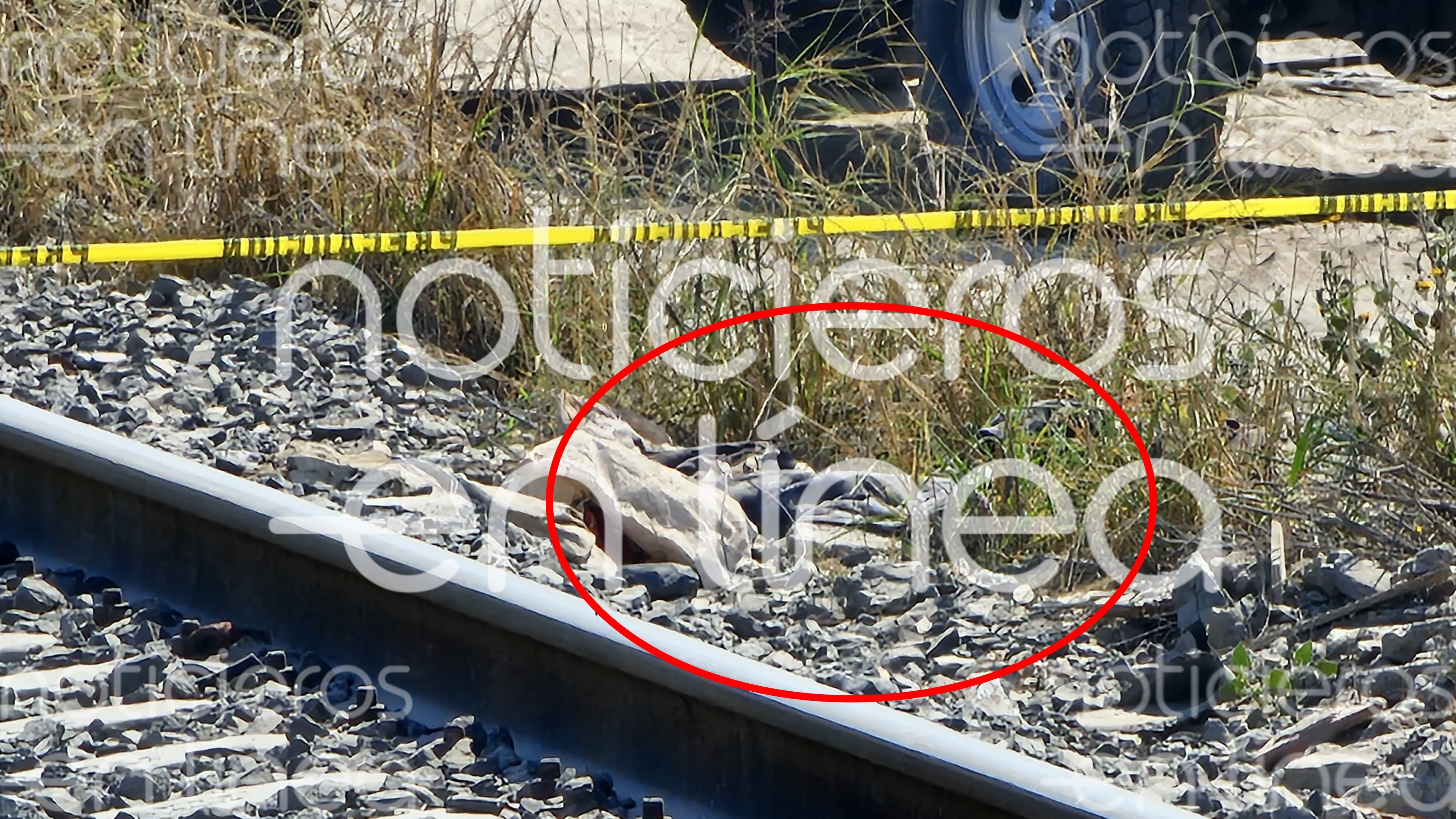 Encuentran el cadáver de una persona mayor en bulevar Timoteo Lozano