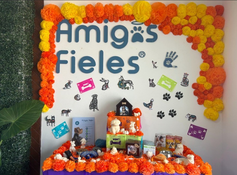 Incrementan las incineraciones de mascotas en León