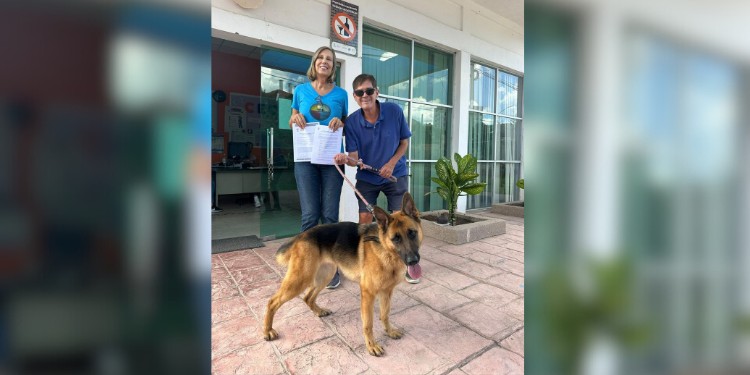 De la tragedia a la felicidad: Coqueta, la perrita arrastrada por camioneta, encuentra nuevo hogar