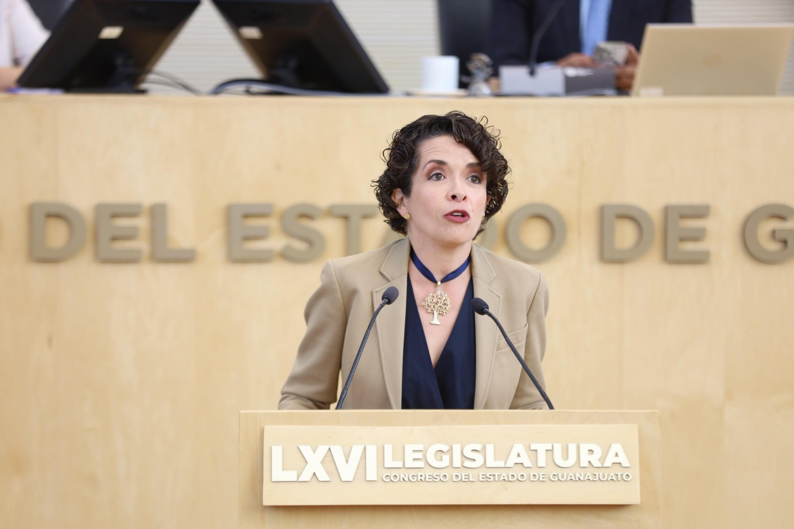 Debería Profepa ‘ayudar’ a Conagua con aplicación de sanciones: diputada 