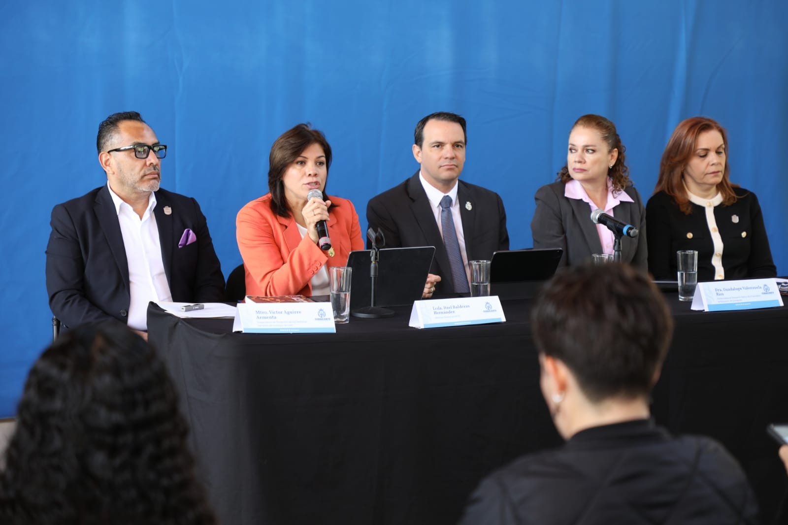 Plataforma de seguimiento y micrositio entre los avances en la Alerta de Género