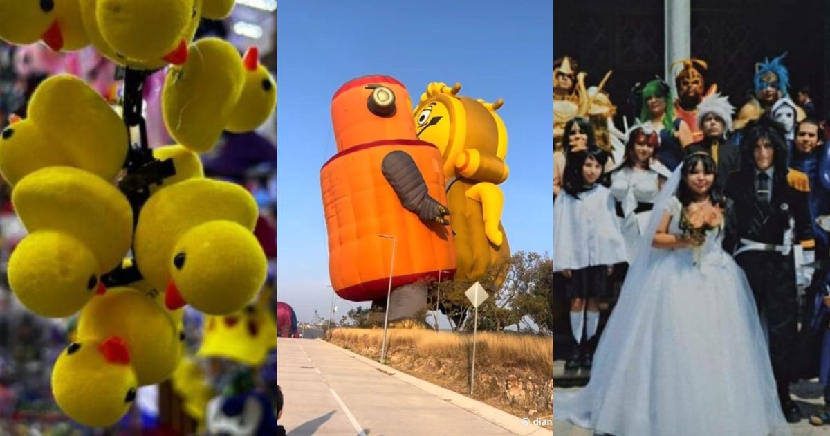 Los 10 momentos más virales del 2024 en Guanajuato