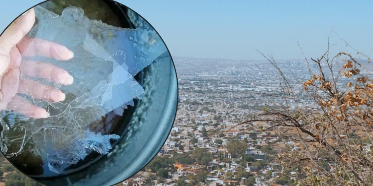 Agua congelada y frío extremo: Así es el invierno en la serranía de Guanajuato