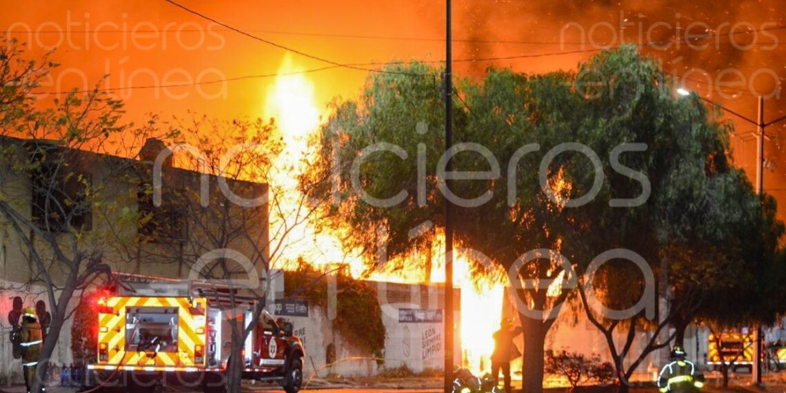 León en llamas: aumentan incendios en 2024