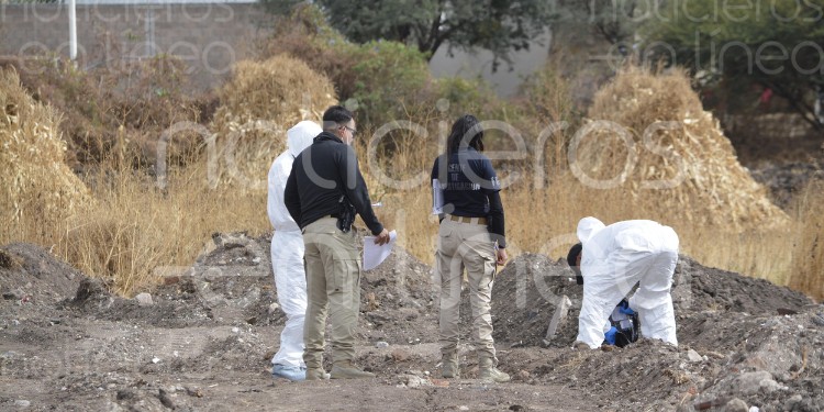 Hallazgo macabro en León: paseaba a su perro y desentierra un pedazo de carne