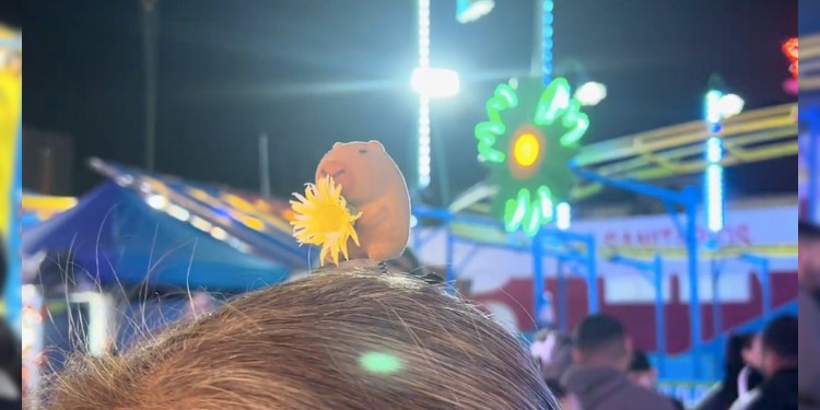 De patos a capibaras: la nueva moda que invade la Feria de León 2025