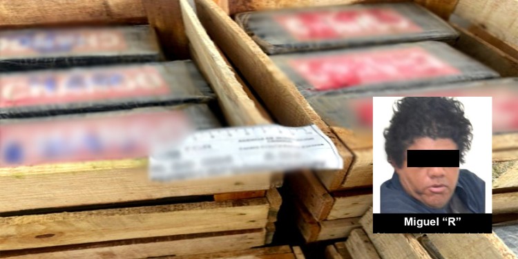 Nopales con sorpresa en Guanajuato: escondía 660 kilos de cocaína entre verduras