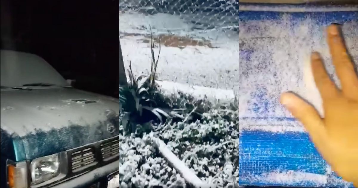 ¡Como en Narnia! Cae nieve en Xichú y amanece con temperaturas bajo cero
