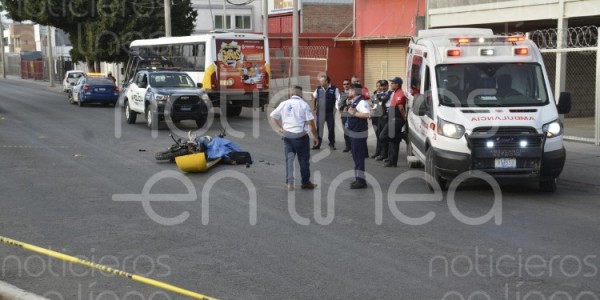 Motociclista fallece tras impactarse contra un camión urbano en León