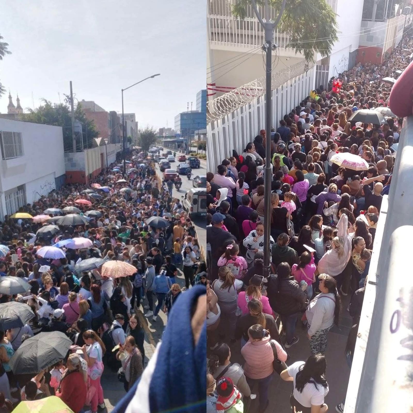 Caos por la entrega de la Tarjeta Rosa en León