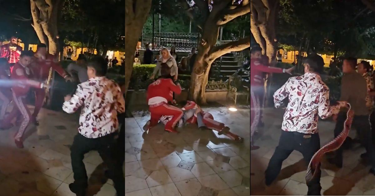 Mariachis vs troqueros: músicos protagonizan pelea por un cliente en Guanajuato (VIDEO)