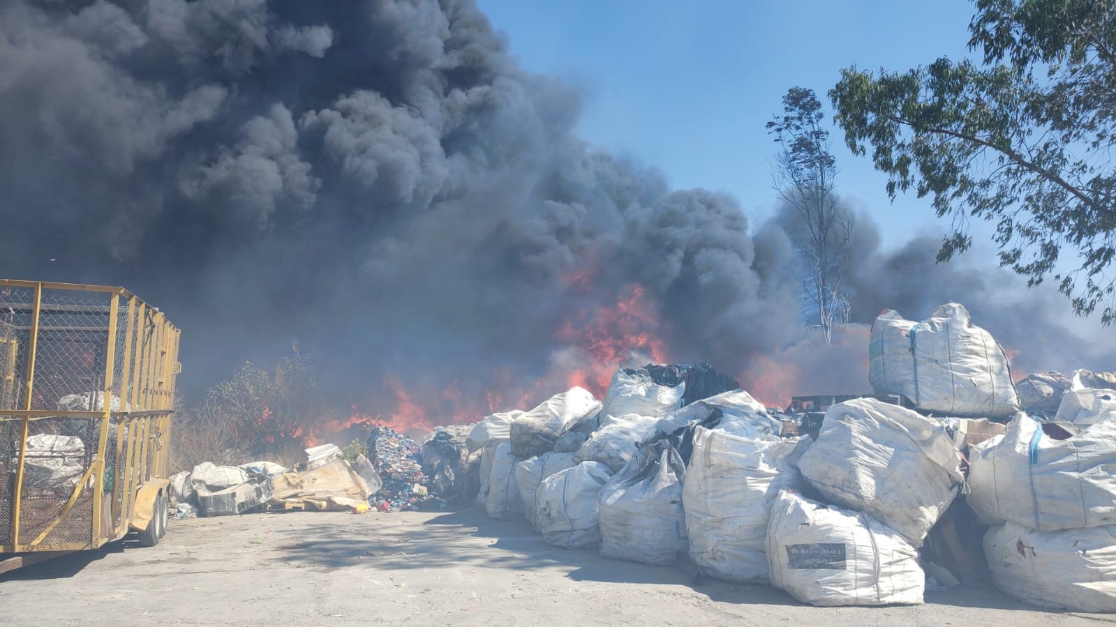 Incendio en León: fuego arrasa con pastizal, recicladora y vehículos