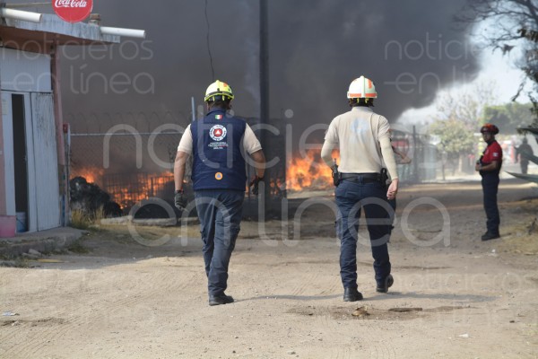 ¡Alerta! Protegen la ciudad ante incendios por altas temperaturas
