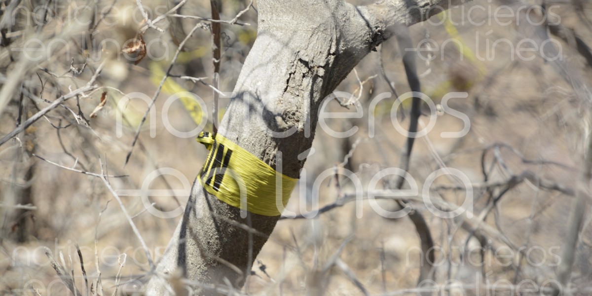 Guanajuato, entre los estados con más fosas clandestinas y cuerpos recuperados