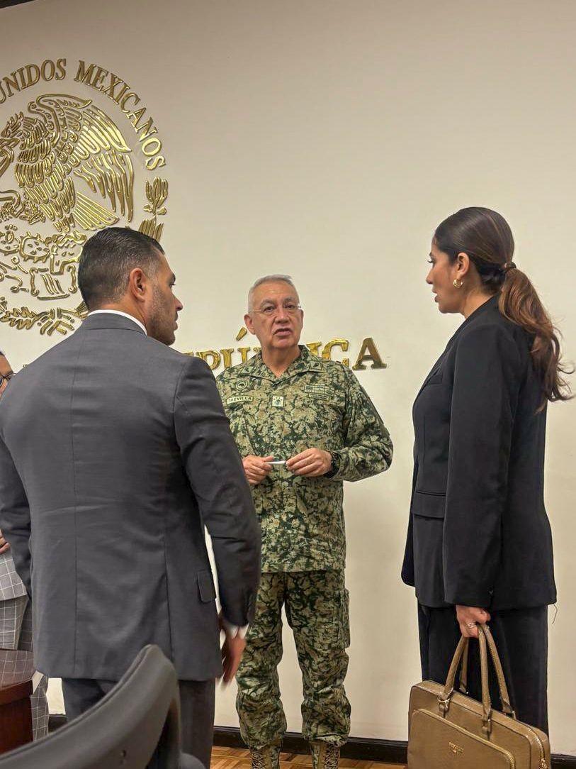 Libia Dennise se reúne con Claudia Sheinbaum para reforzar la lucha contra el crimen