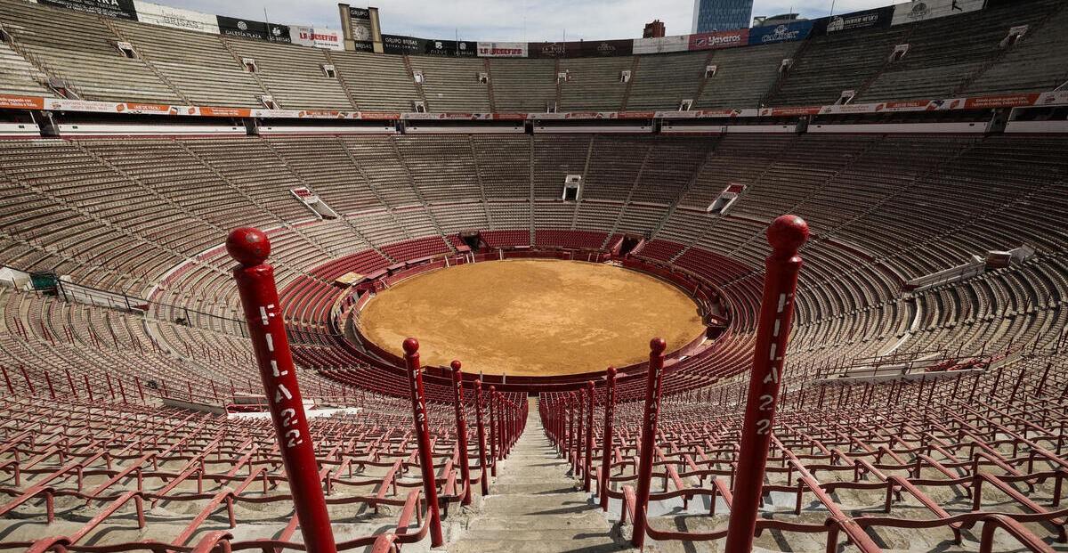 “Toros sin sangre“: Proponen corridas sin violencia en Guanajuato