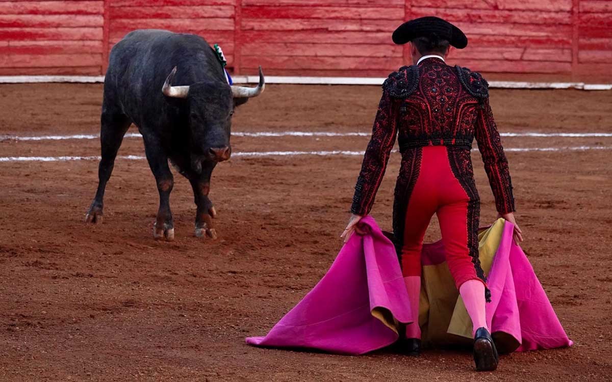 Defensa taurina pide preservar las corridas de toros en Guanajuato