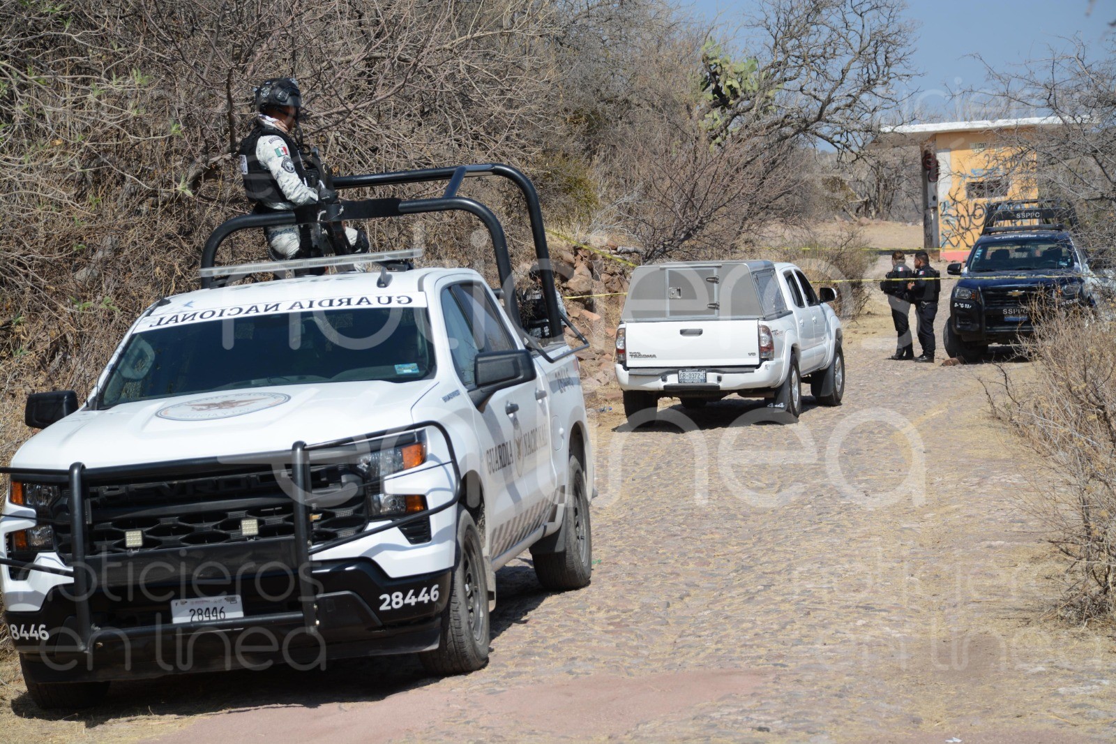 Hallan cráneo enterrado en León; vecinos no lo reportaron por miedo