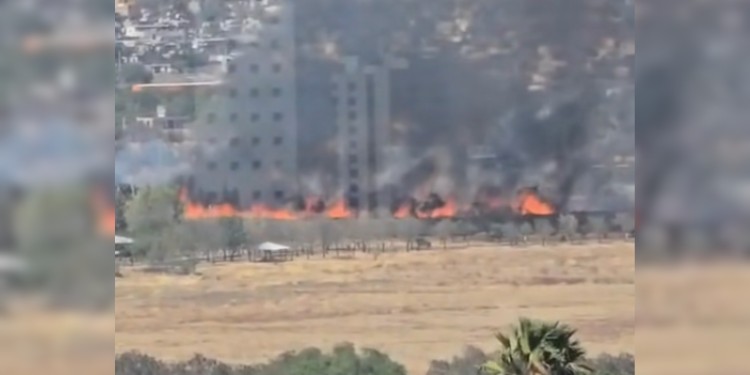 ¡El Parque Metropolitano no se quemó! Desmienten incendio en sus instalaciones