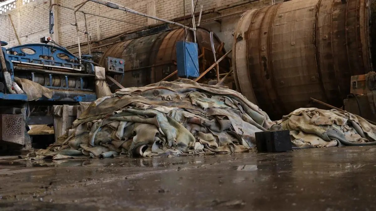 Curtiduría al borde del colapso en Guanajuato; el sulfuro no llega y los cueros empiezan a pudrirse