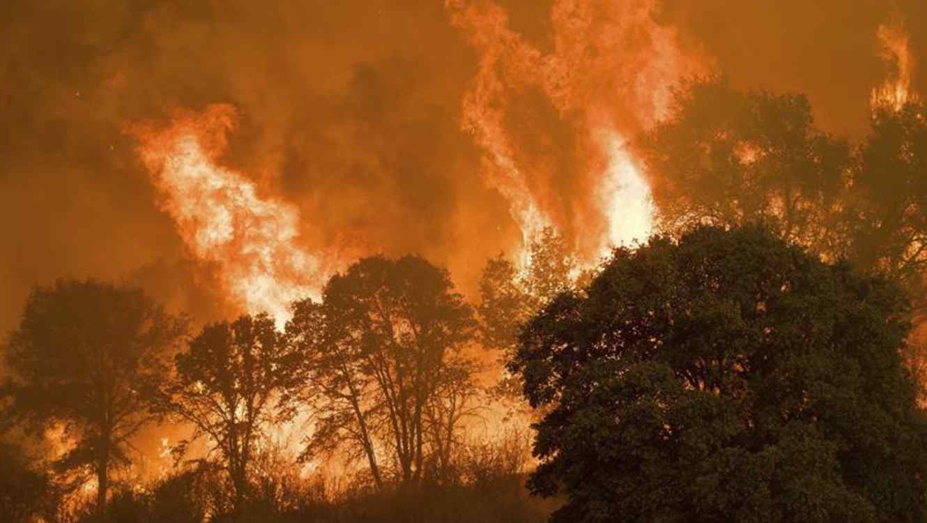 Guanajuato vive una de sus peores temporadas de incendios