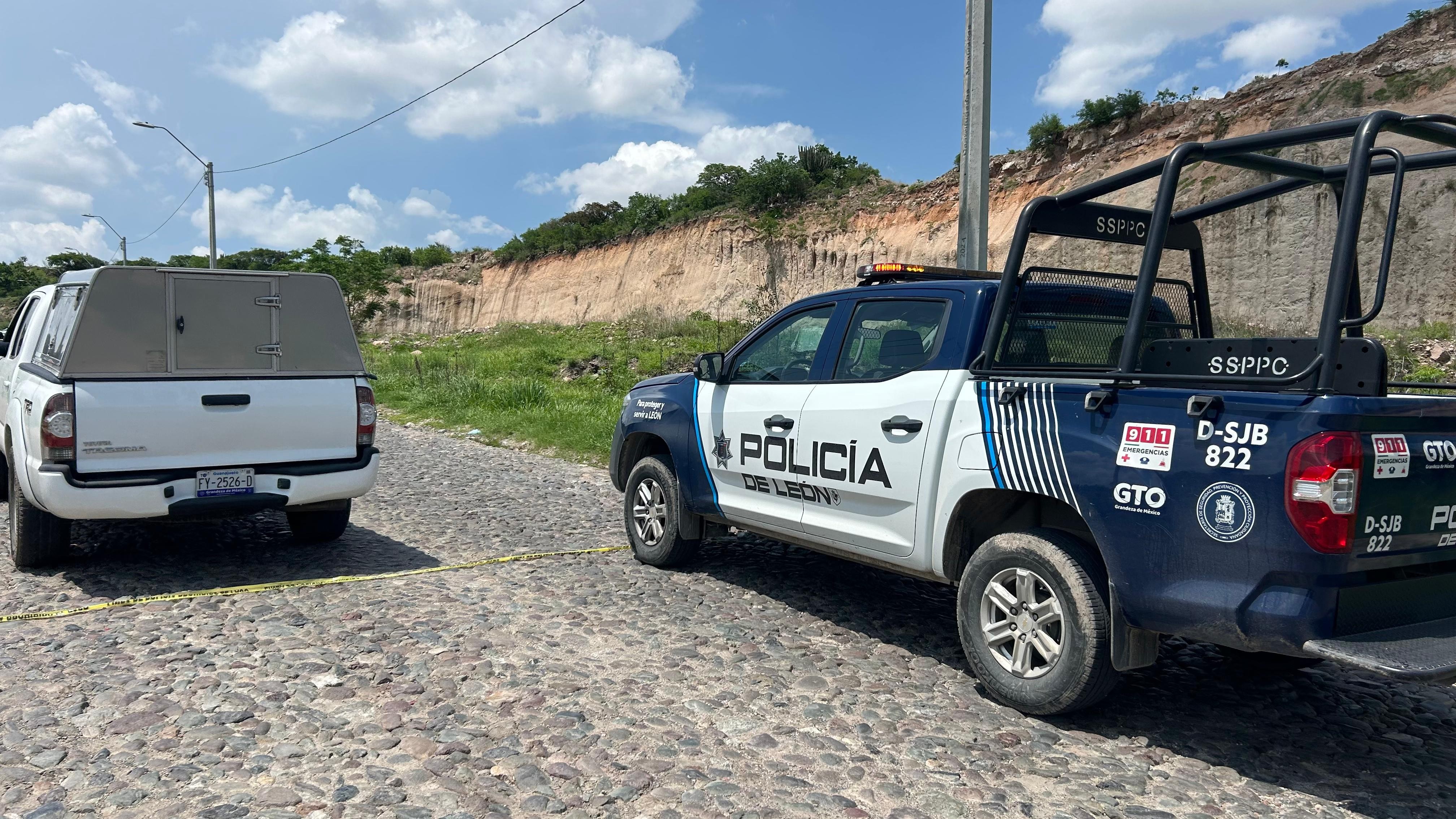 Hallan a perros devorando piernas humanas en León