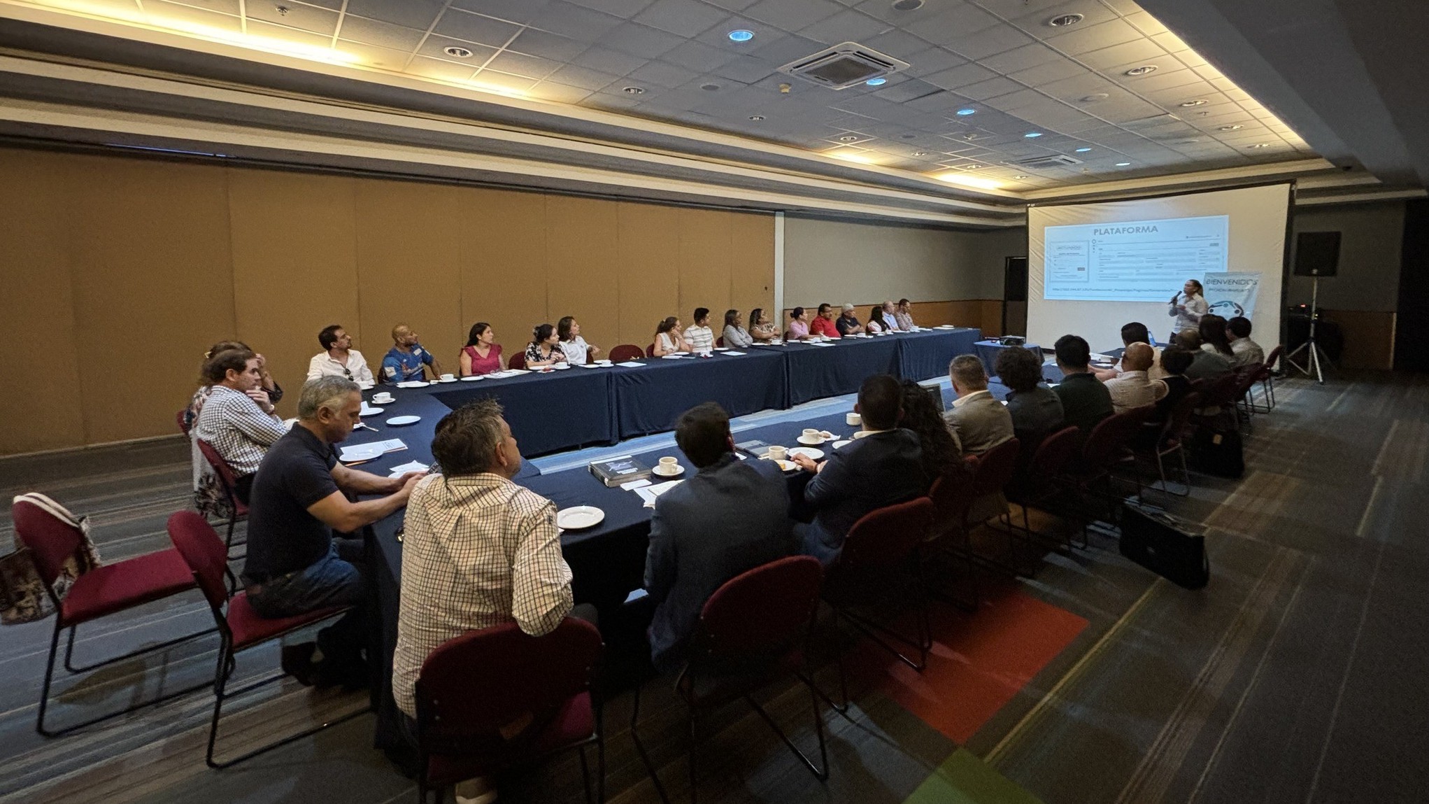 Organismos empresariales se amparan y obtienen suspensión contra revisión del FIDESSEG