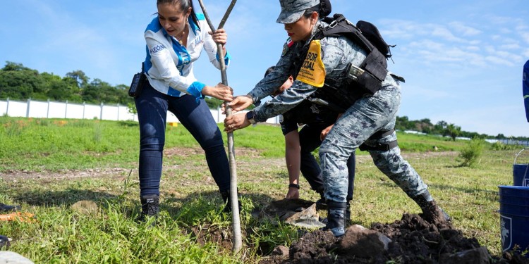 Reforestan panteones de León y plantarán 3 mil árboles en Sierra de Lobos en julio