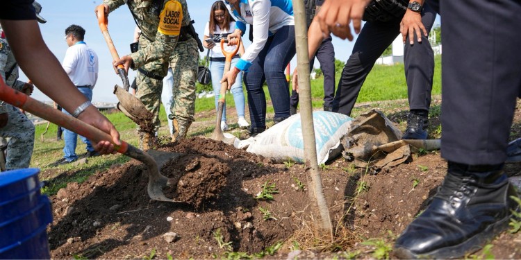 Reforestan panteones de León y plantarán 3 mil árboles en Sierra de Lobos en julio
