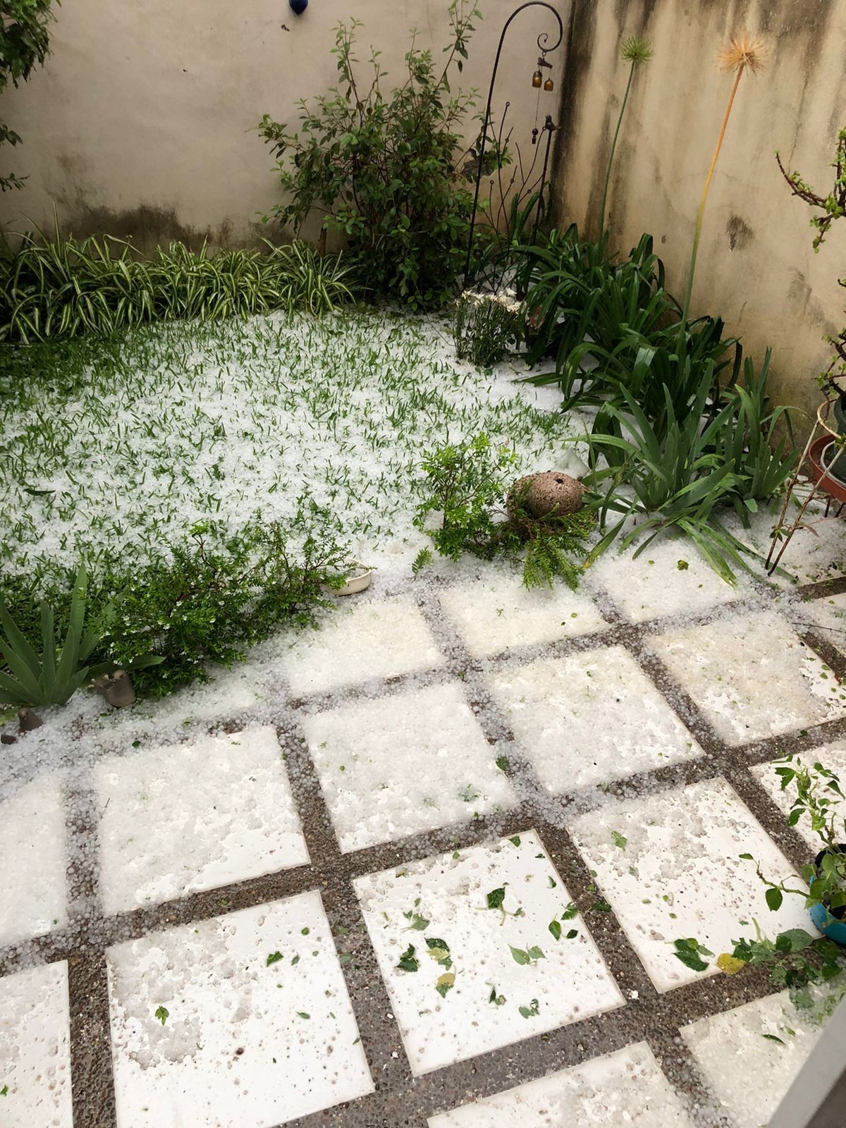 granizo en León granizo en León