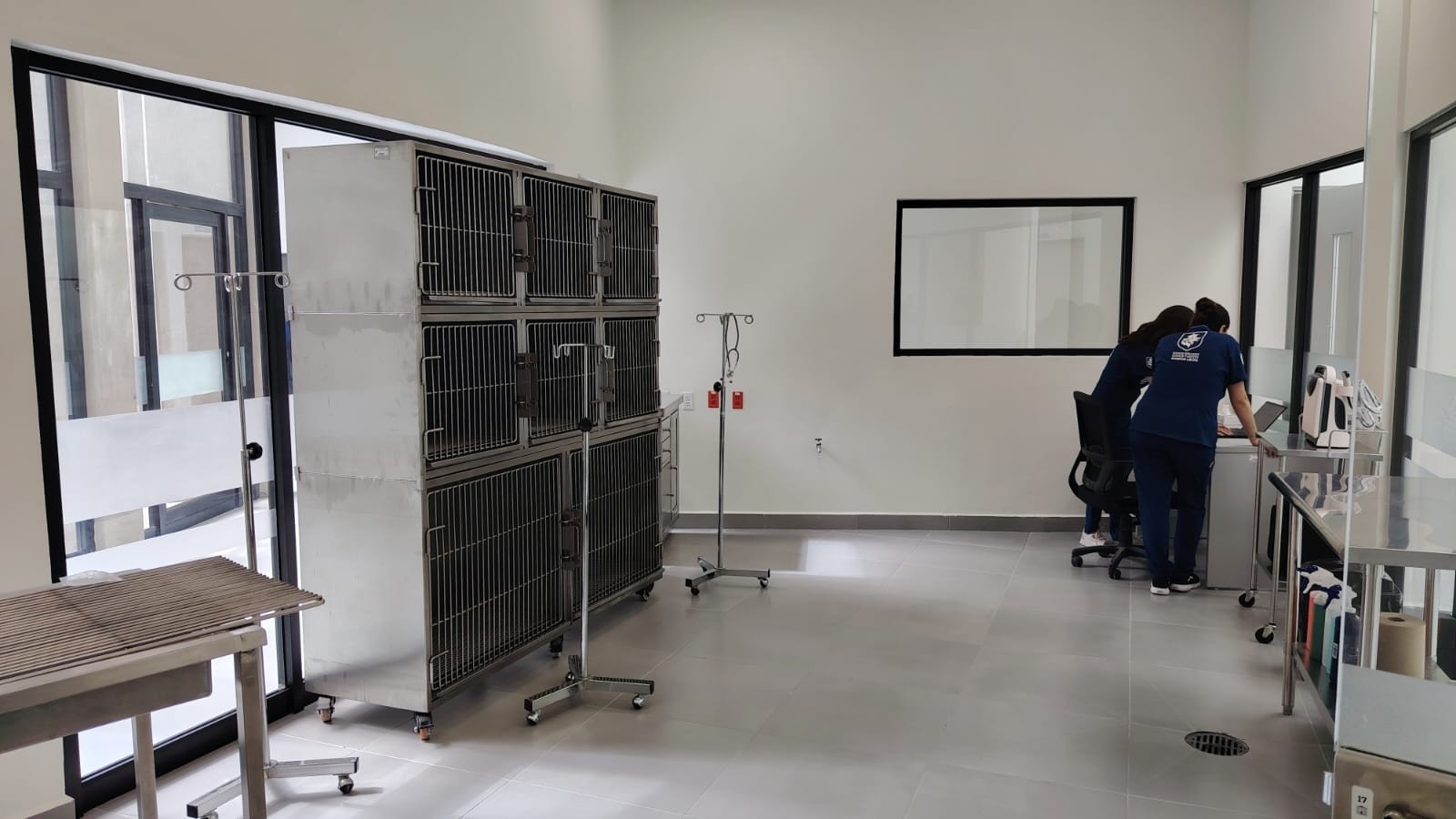 Hospital Veterinario de León: costos y servicios que ofrecerán