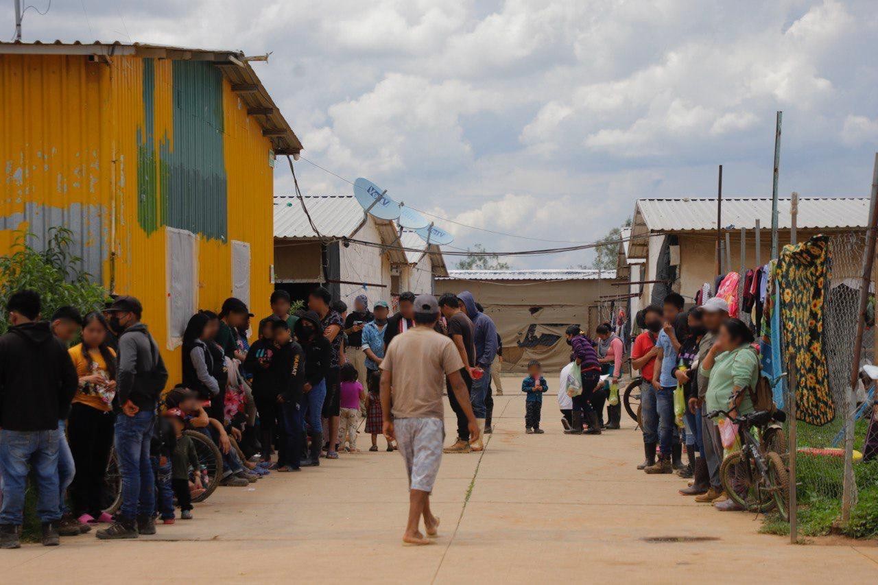 Rescatan a 700 personas víctimas de trata laboral en Dolores Hidalgo