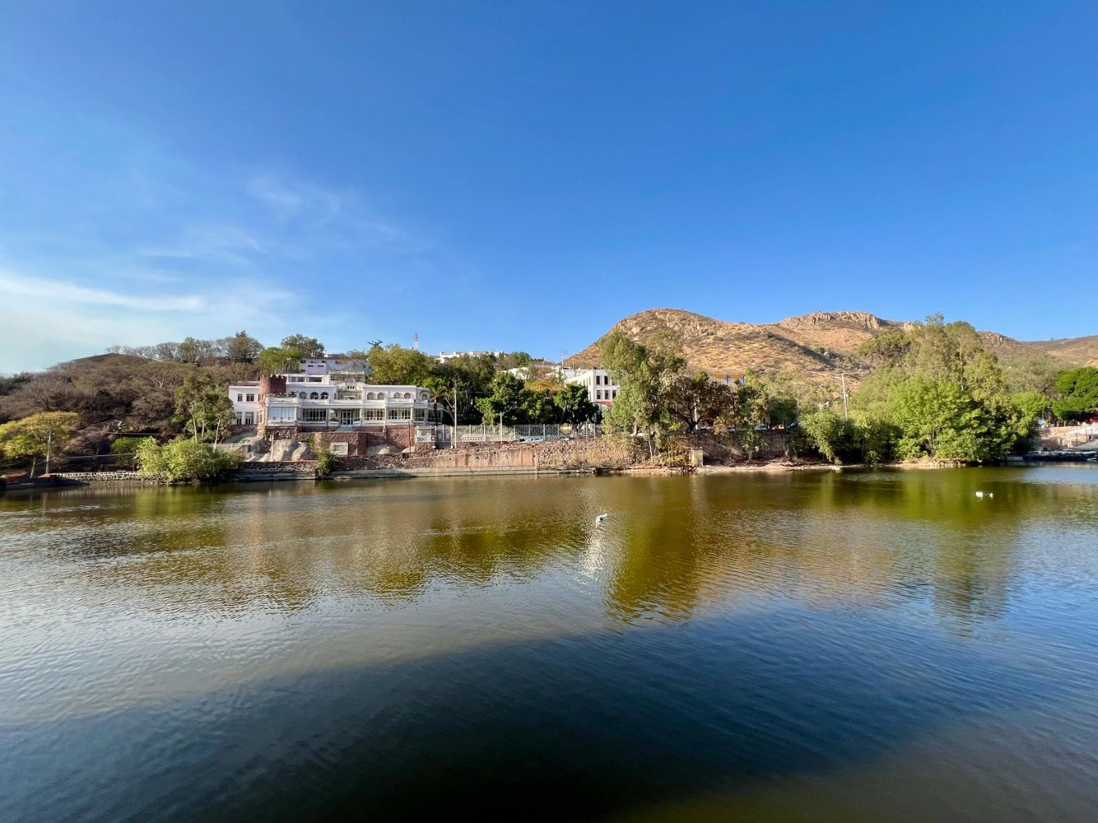 ¡Buenas noticias! Lluvias recuperan niveles de presas en Guanajuato tras meses de sequía