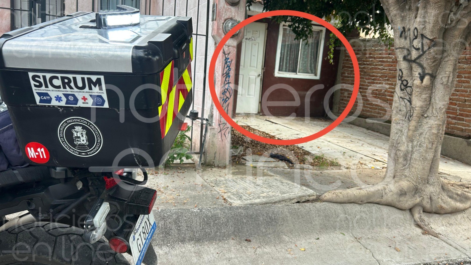 Vecinos alertan por olor fétido y descubren a un hombre muerto en la sala de su casa en León